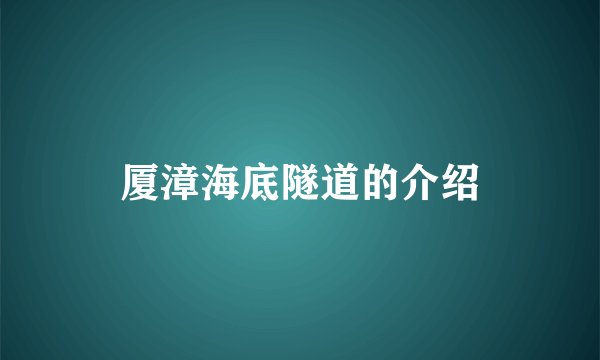 厦漳海底隧道的介绍