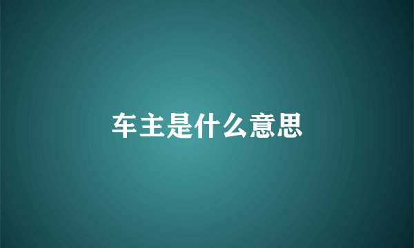 车主是什么意思