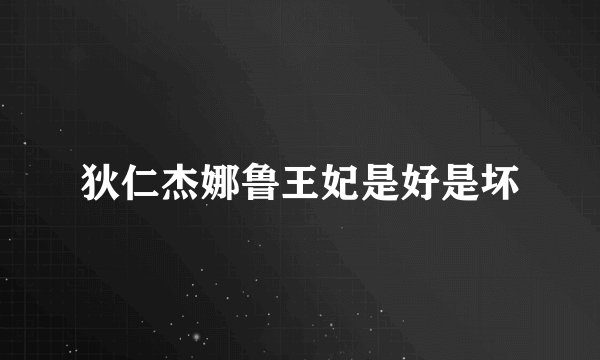 狄仁杰娜鲁王妃是好是坏