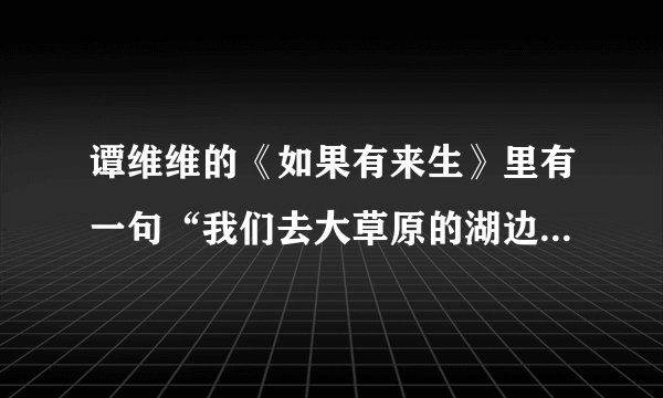 谭维维的《如果有来生》里有一句“我们去大草原的湖边 等候鸟飞回来...