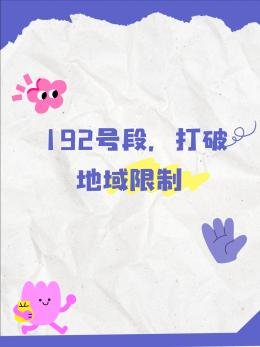 192 手机号开头的是哪里的​