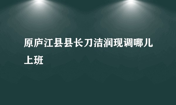原庐江县县长刀洁润现调哪儿上班