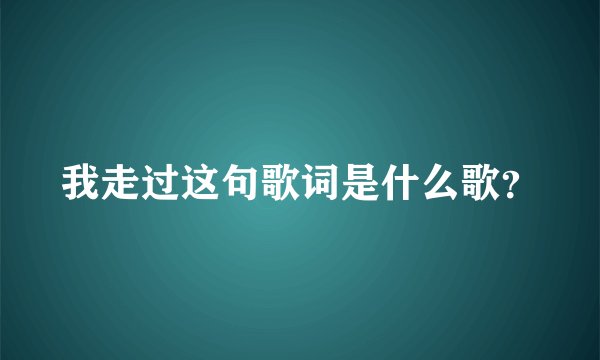 我走过这句歌词是什么歌？