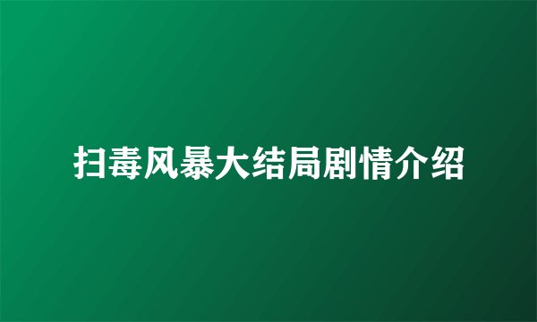 扫毒风暴大结局剧情介绍
