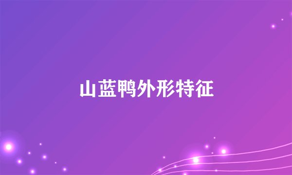 山蓝鸭外形特征