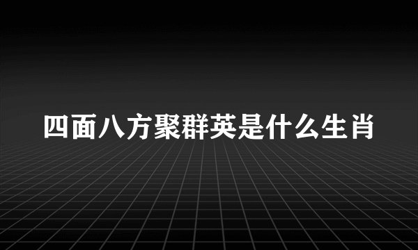 四面八方聚群英是什么生肖