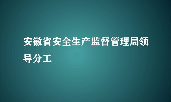 安徽省安全生产监督管理局领导分工