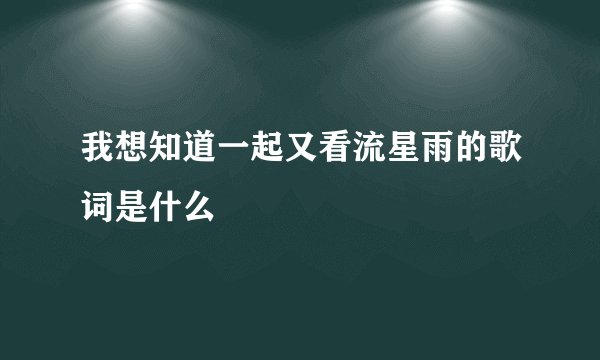 我想知道一起又看流星雨的歌词是什么