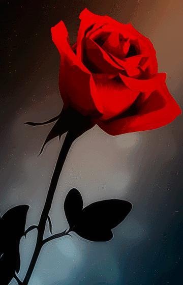谄媚——读《舔功》有感