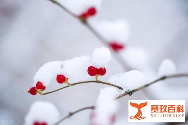 12月6日大雪,“大雪不冻,惊蛰不开”,啥意思啥预兆,有道理?