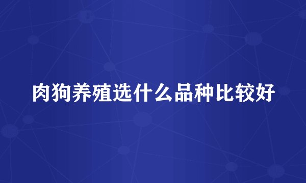肉狗养殖选什么品种比较好