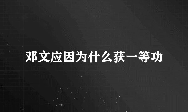 邓文应因为什么获一等功