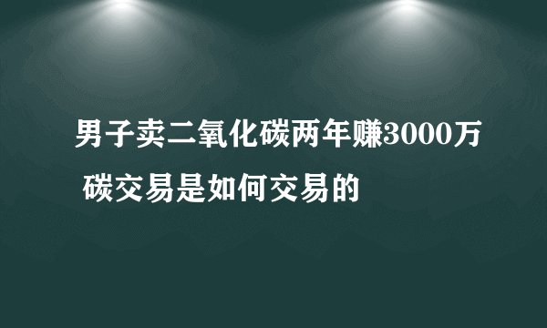 男子卖二氧化碳两年赚3000万 碳交易是如何交易的