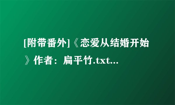[附带番外]《恋爱从结婚开始》作者：扁平竹.txt最新章节/全集txt免费下载