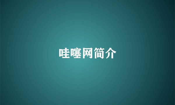 哇噻网简介