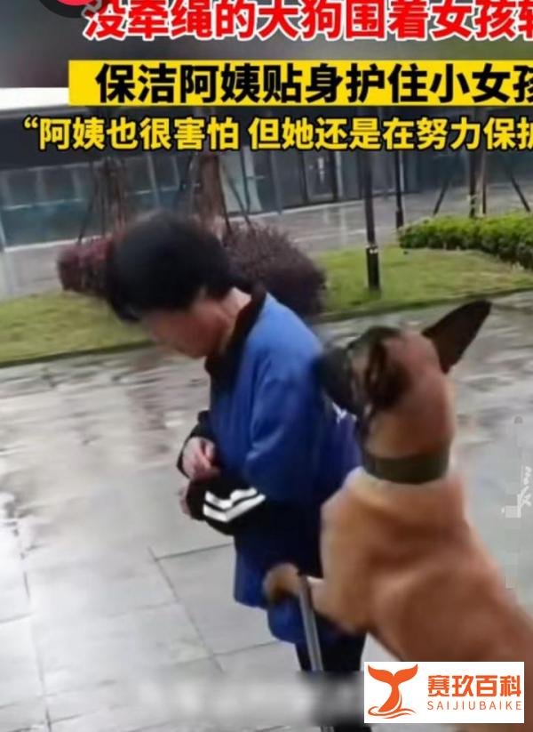 大狗尾随女孩 保洁阿姨保护周旋1小时