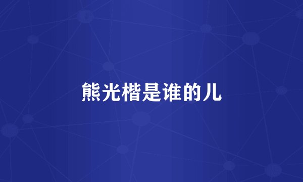 熊光楷是谁的儿