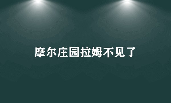 摩尔庄园拉姆不见了