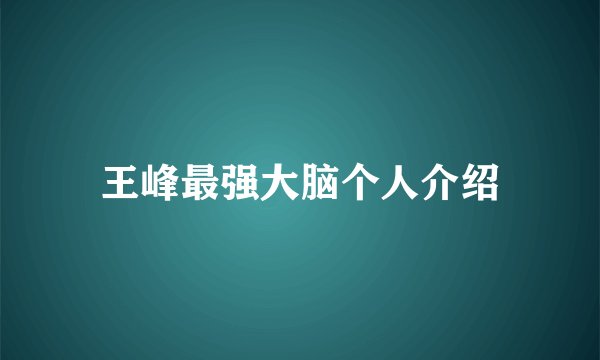 王峰最强大脑个人介绍