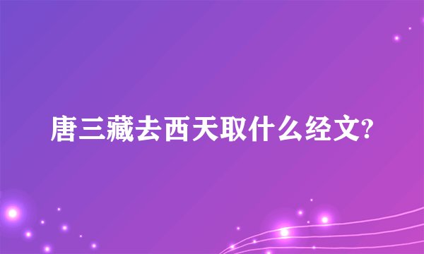 唐三藏去西天取什么经文?
