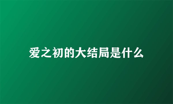 爱之初的大结局是什么