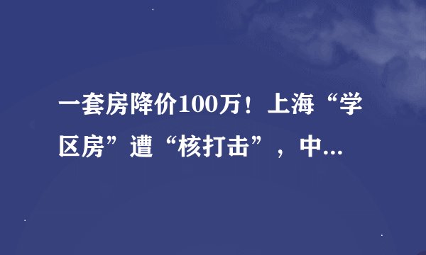 一套房降价100万！上海“学区房”遭“核打击”，中介直言“不香了”