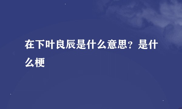 在下叶良辰是什么意思？是什么梗