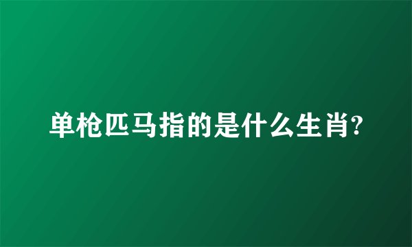 单枪匹马指的是什么生肖?