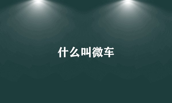 什么叫微车