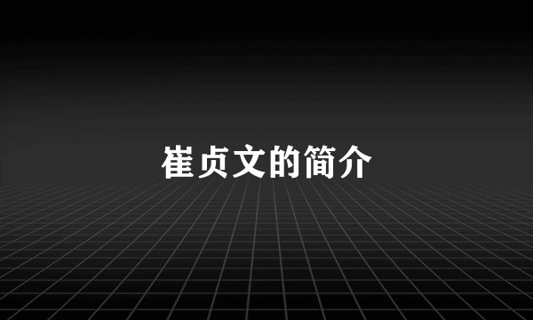 崔贞文的简介