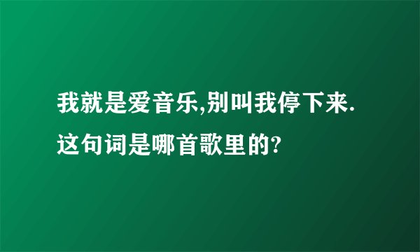 我就是爱音乐,别叫我停下来.这句词是哪首歌里的?