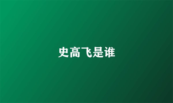 史高飞是谁