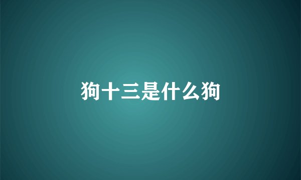 狗十三是什么狗