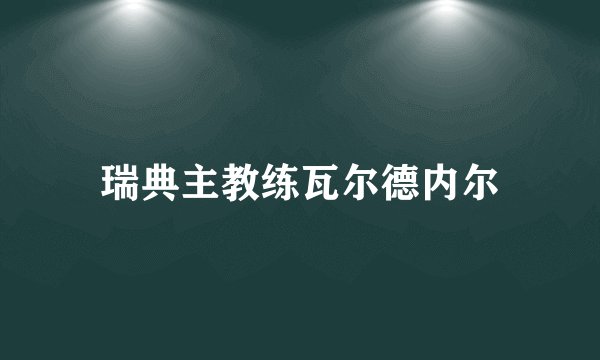 瑞典主教练瓦尔德内尔