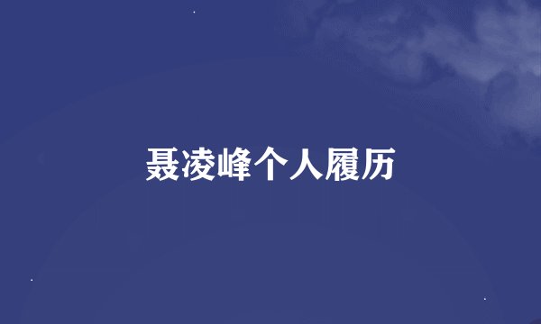 聂凌峰个人履历