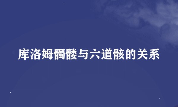 库洛姆髑髅与六道骸的关系