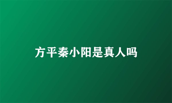 方平秦小阳是真人吗