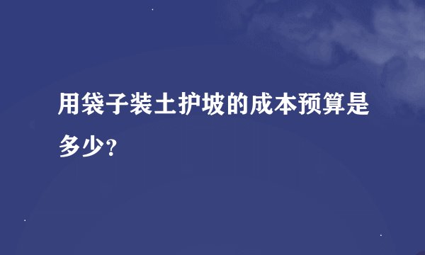 用袋子装土护坡的成本预算是多少？