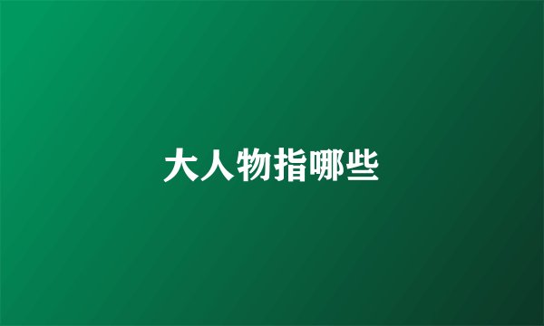 大人物指哪些