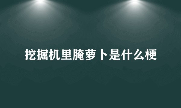 挖掘机里腌萝卜是什么梗