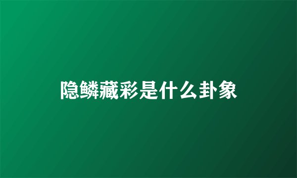 隐鳞藏彩是什么卦象