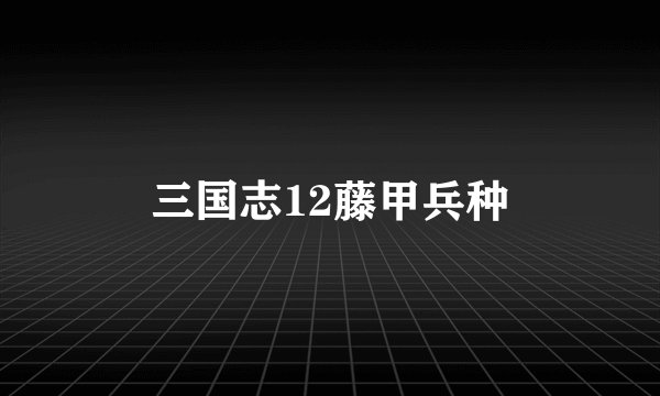 三国志12藤甲兵种