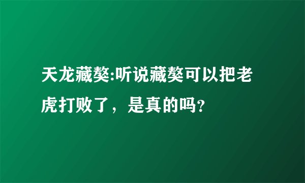 天龙藏獒:听说藏獒可以把老虎打败了，是真的吗？