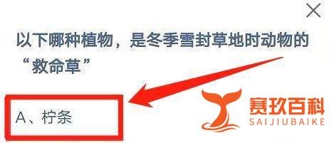 《蚂蚁庄园》3月12日动物的“救命草”是什么