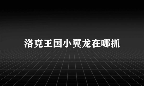 洛克王国小翼龙在哪抓