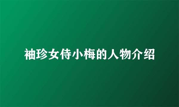 袖珍女侍小梅的人物介绍