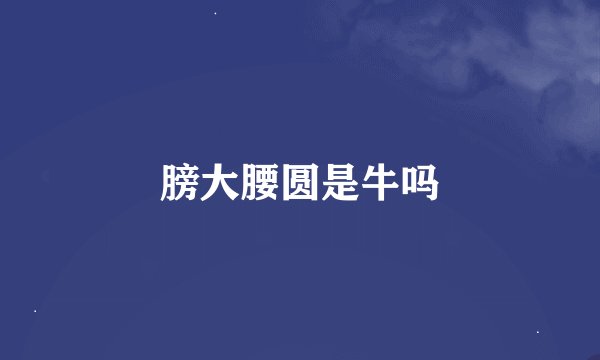 膀大腰圆是牛吗