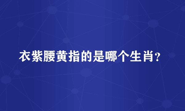 衣紫腰黄指的是哪个生肖？