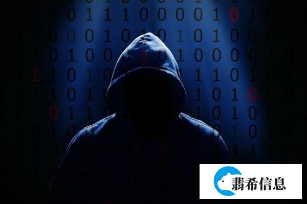 网银大盗覆没记