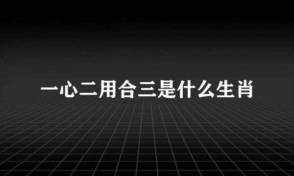 一心二用合三是什么生肖